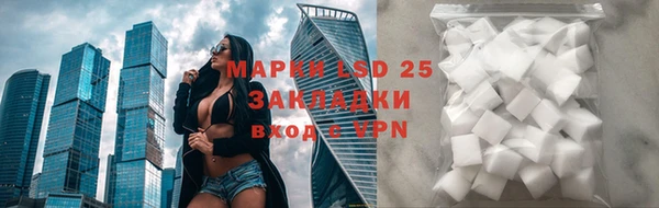 шишки Мегион
