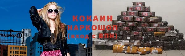 шишки Мегион