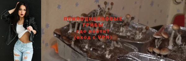 шишки Мегион