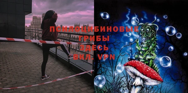 прущая мука Медвежьегорск