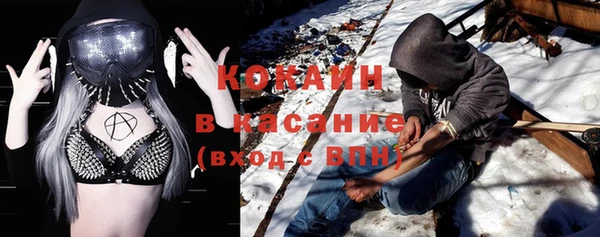шишки Мегион