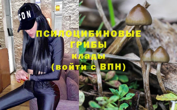 кокаин перу Медногорск