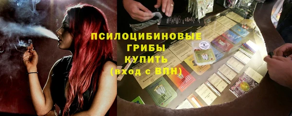 ECSTASY Майский