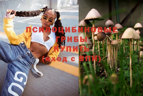 шишки Мегион