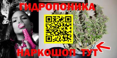 Альфа ПВП Пыть-Ях