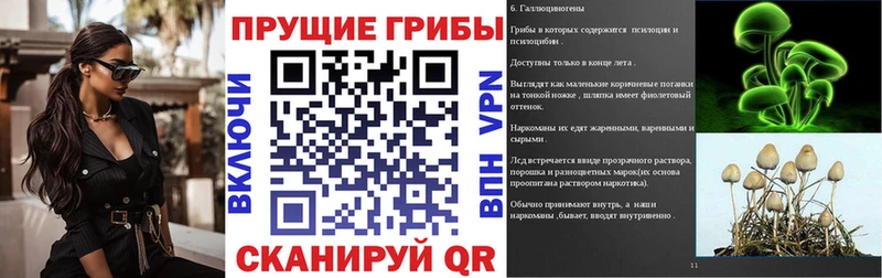 Галлюциногенные грибы Psilocybine cubensis  Моршанск 