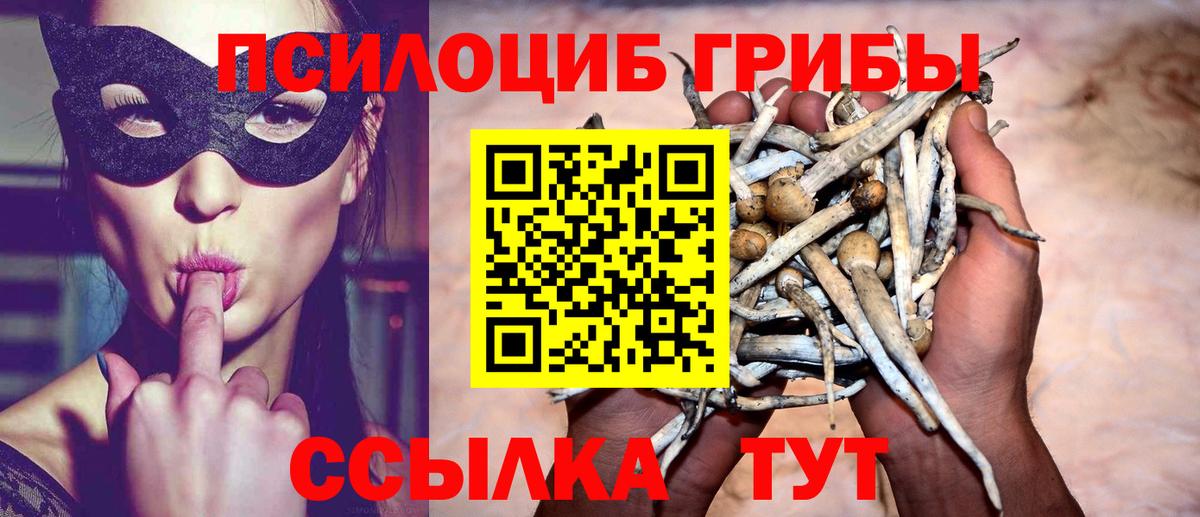 Псилоцибиновые грибы прущие грибы  Вход с VPN  Псилоцибиновые грибы мухоморы  Моршанск 