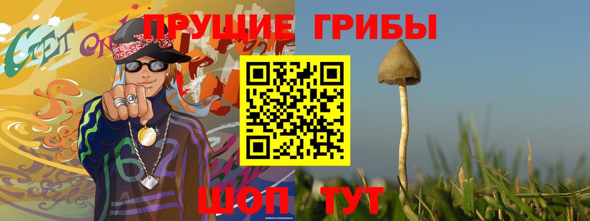 Псилоцибиновые грибы мухоморы Моршанск